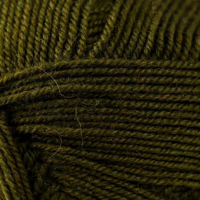 Пряжа Пряжа "Австралийский меринос" 95%меринос. шерсть,5% акрил объёмный 400м/100гр (423-Болото)