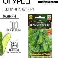 Семена Огурец &laquo;Шпингалет&raquo; F1, партенокарпический, 10 шт., &laquo;Аэлита&raquo;