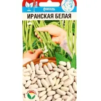 Семена Фасоль &laquo;Иранская белая&raquo;, 5 г, &laquo;Сибирский сад&raquo;
