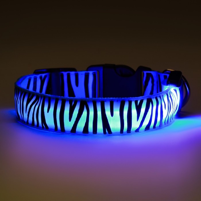 Ошейник с подсветкой Тигр 3 режима свечения, размер L, ОШ 48-60 х 2,5 см синий Ошейник с подсветкой Тигр 3 режима свечения, размер L, ОШ 48-60 х 2,5 см синий