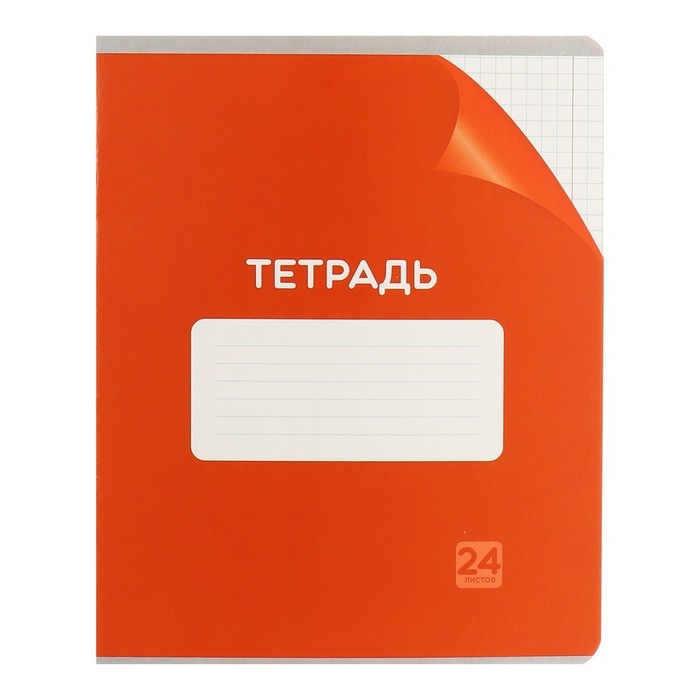 Комплект тетрадей из 10 штук, 24 листа в клетку Calligrata "Однотонная Классика с уголком. Эконом", обложка мелованный картон, ВД-лак, блок №2, белизна 75% (серые листы), 5 видов по 2 штуки