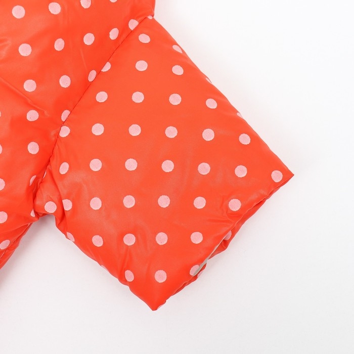 Комбинезон  Комбинезон "Для прогулки", размер 10 (ДС 21 см, ОГ 34 см, ОШ 24 см), оранжевый