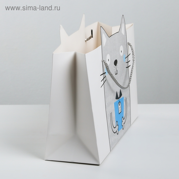 Пакет подарочный, упаковка, &laquo;Это тебе&raquo;, 30 х 23 х 10 см