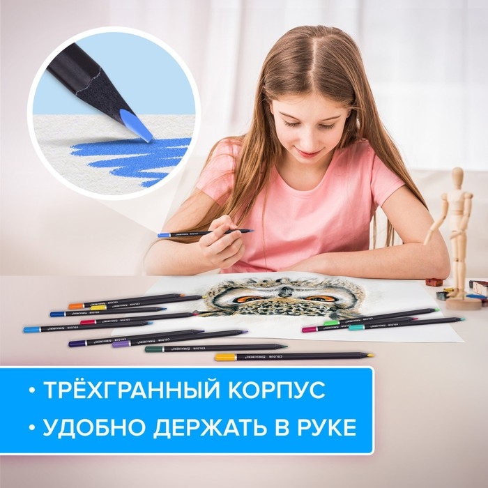 Карандаши 24 цвета BRAUBERG BLACK WOOD, трёхгранные, диаметр грифеля 3 мм, чёрное дерево Карандаши 24 цвета BRAUBERG BLACK WOOD, трёхгранные, диаметр грифеля 3 мм, чёрное дерево