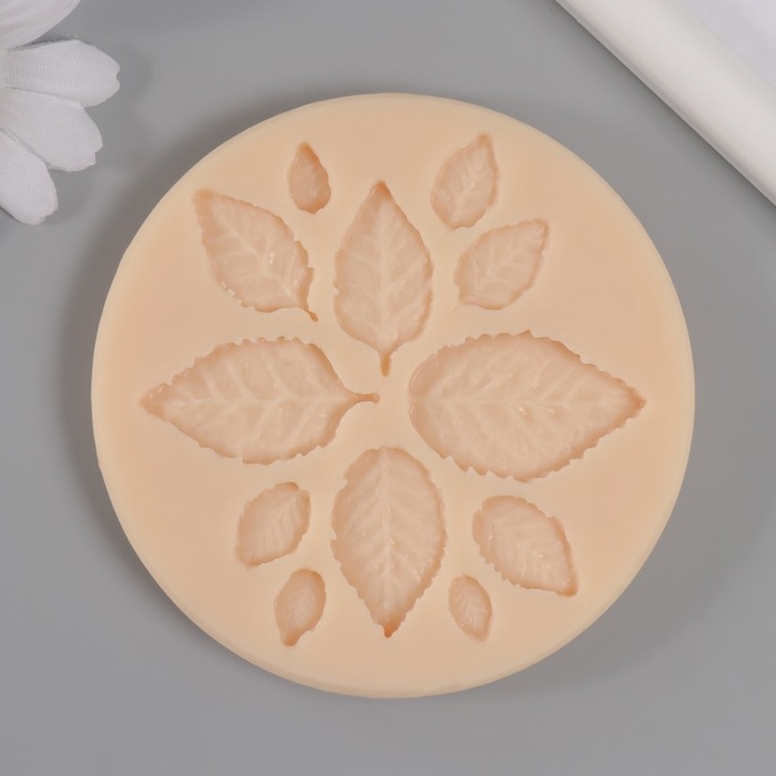 Молд силикон Молд силикон "Листья" 0,7х1 см -2,3х3,6 см МИКС