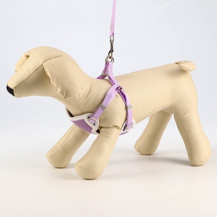 Комплект амуниции с мягкой шлейкой, S, поводок 120 х 1 см, ОШ 20-35 см, ОГ 20-35 см, сиреневый 71490 Комплект амуниции с мягкой шлейкой, S, поводок 120 х 1 см, ОШ 20-35 см, ОГ 20-35 см, сиреневый 71490