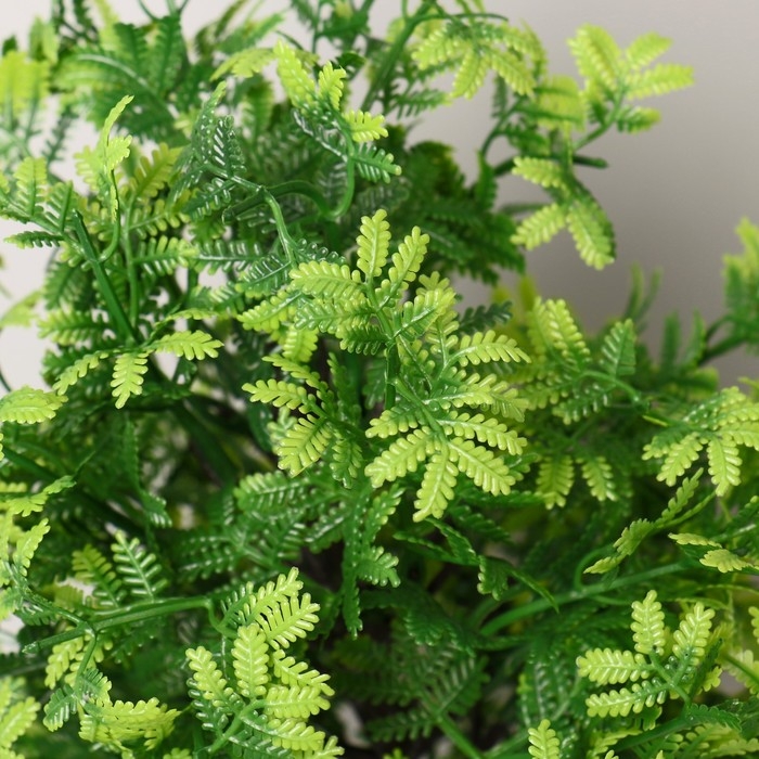 Бонсай в горшке Бонсай в горшке "Колючник" 9х35 см