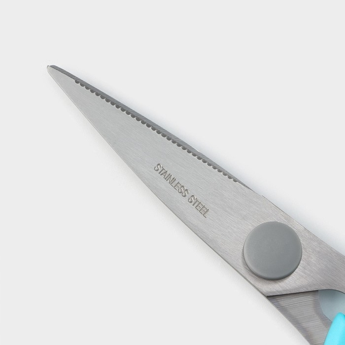 Ножницы кухонные Доляна «Эльба», 22 см, цвет голубой Ножницы кухонные Доляна «Эльба», 22 см, цвет голубой