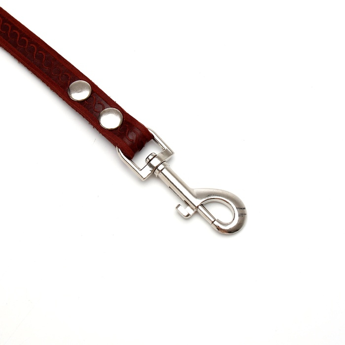 Поводок кожаный однослойный тиснёный, удлиненный,  2 м х 1,6 см  коричневый Поводок кожаный однослойный тиснёный, удлиненный,  2 м х 1,6 см  коричневый