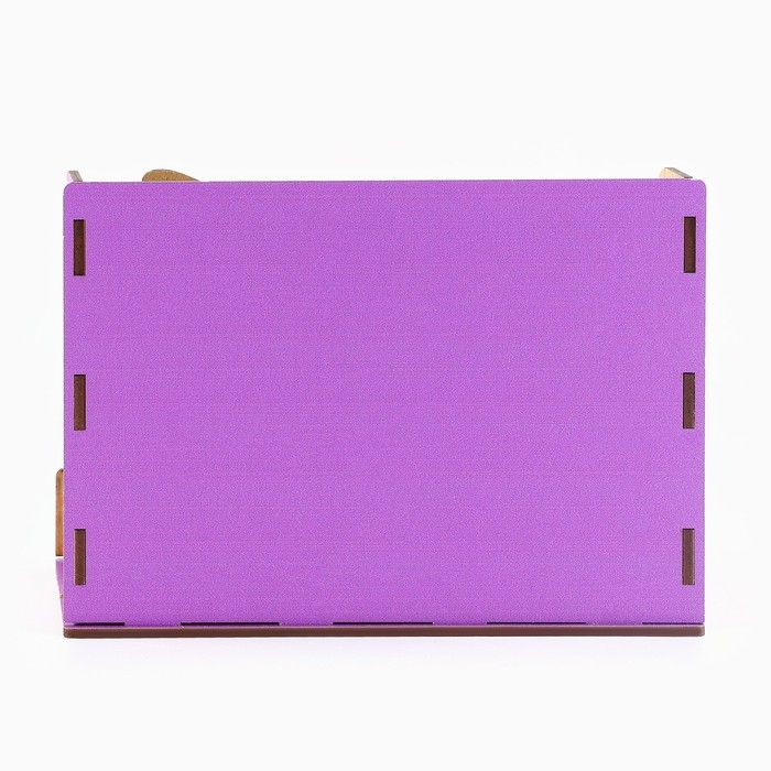 Органайзер для канцелярии, с местом под телефон «Ты просто котик»