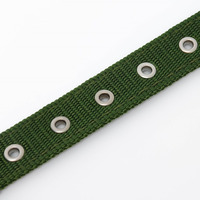 Ошейник Ошейник "Комфорт" комбинированный, 55 х 2,5 см, ОШ 40-50 см, зелёный