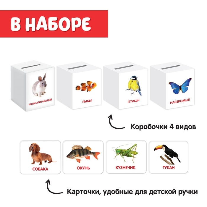 Сортер-копилка «Животные» по методике Г. Домана Сортер-копилка «Животные» по методике Г. Домана