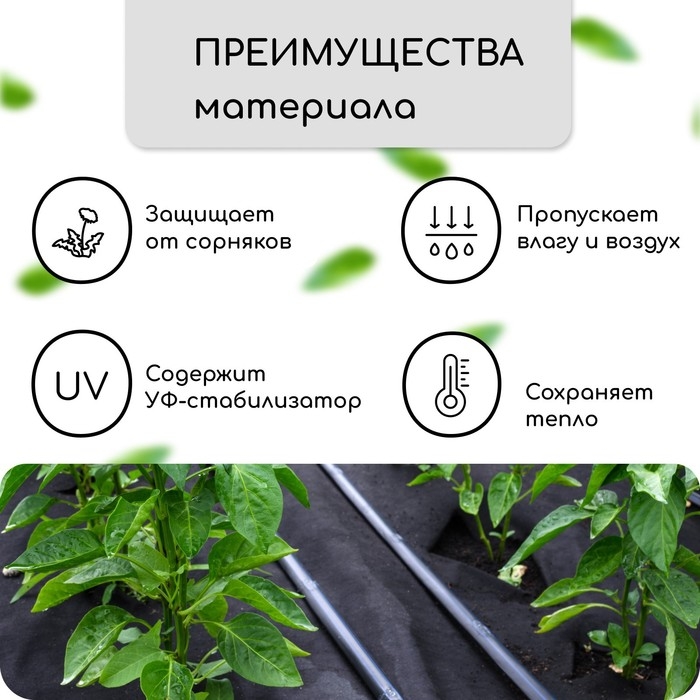 Материал мульчирующий, с перфорацией, 5 × 1,6 м, плотность 80 г/м², спанбонд с УФ-стабилизатором, чёрный, Greengo, Эконом 30% Материал мульчирующий, с перфорацией, 5 × 1,6 м, плотность 80 г/м², спанбонд с УФ-стабилизатором, чёрный, Greengo, Эконом 30%