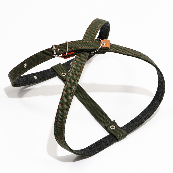 Шлейка брезентовая на фетре многоразмерная, 2,5 см, ОШ 40-60 см,ОГ 40-60 см, тёмно-зелёная Шлейка брезентовая на фетре многоразмерная, 2,5 см, ОШ 40-60 см,ОГ 40-60 см, тёмно-зелёная