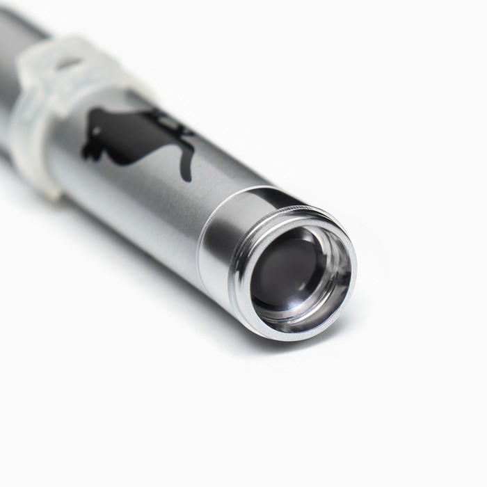 Лазерная указка для кошек  Лазерная указка для кошек "Мышка" с батарейками