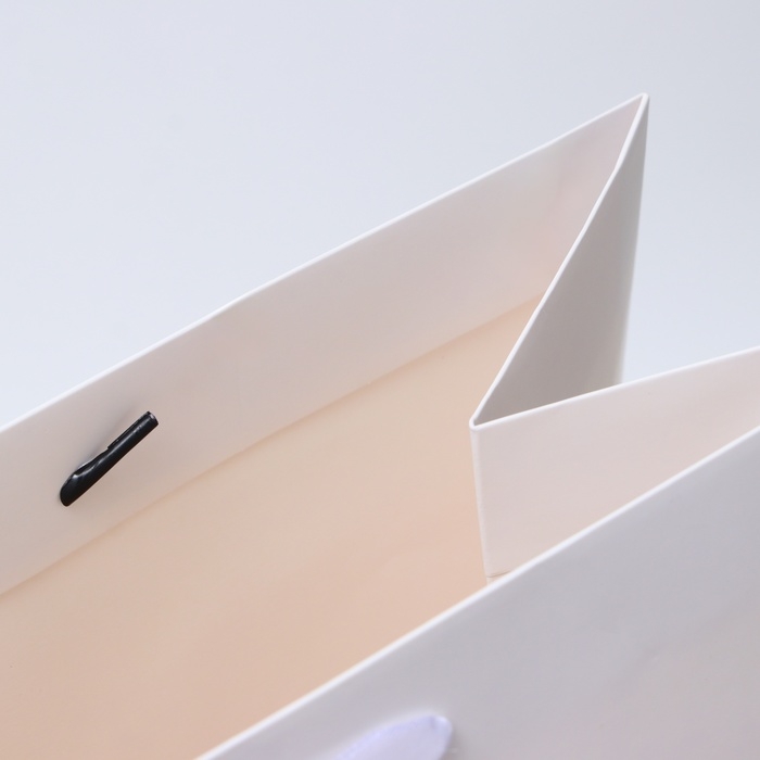 Пакет ламинированный вертикальный Пакет ламинированный вертикальный "Белый", XXL 46 х 61 х 20 см