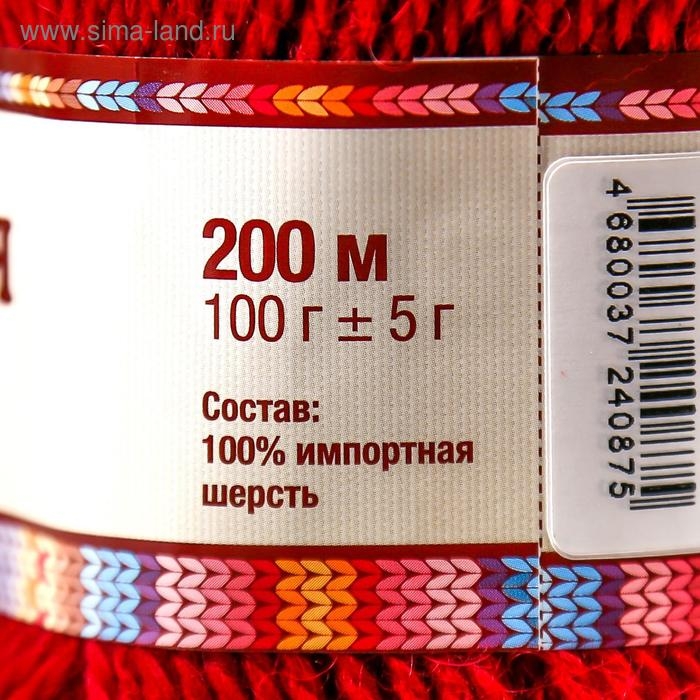 Пряжа Пряжа "Аргентинская шерсть" 100% импортная п/т шерсть 200м/100гр (091,вишня)