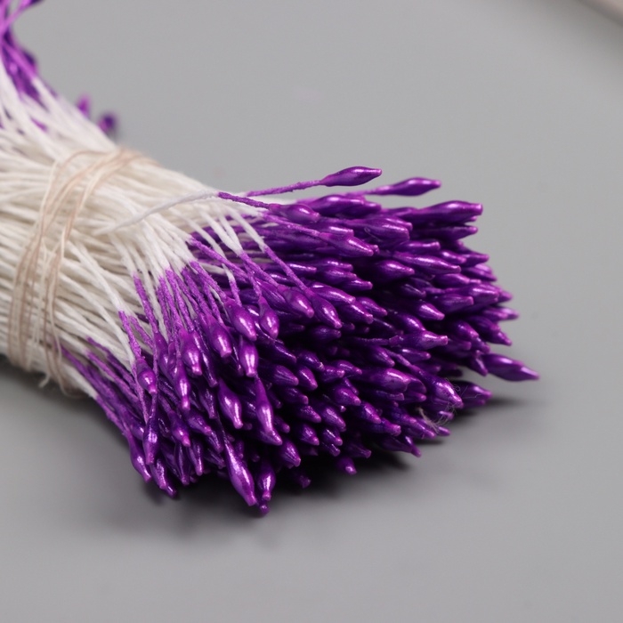 Тычинки для искусственных цветов глянец "Рисинки" фиолетовый набор 360 шт длина 6 см