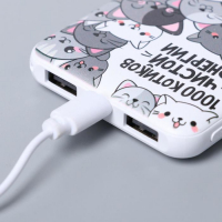 Наушники, маска для сна и зарядное устройство 5000 mAh м. PB-06 «Котики», 20,5 х 16,5 см.
