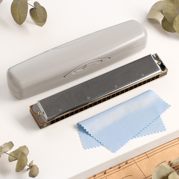 Губная гармошка Music Life T2401 тремоло, с футляром Губная гармошка Music Life T2401 тремоло, с футляром