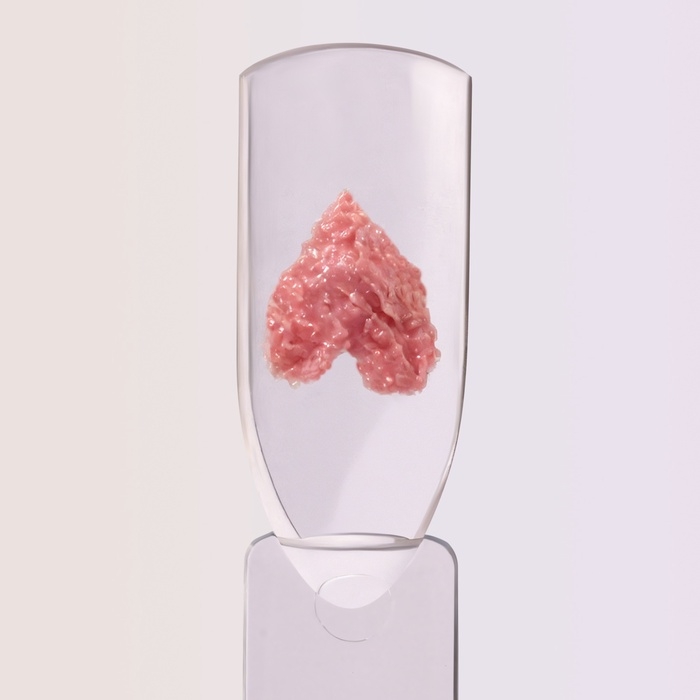 Гель для ногтей, гипсовый, фактурный, 8 мл, LED/UV, розовый Гель для ногтей, гипсовый, фактурный, 8 мл, LED/UV, розовый