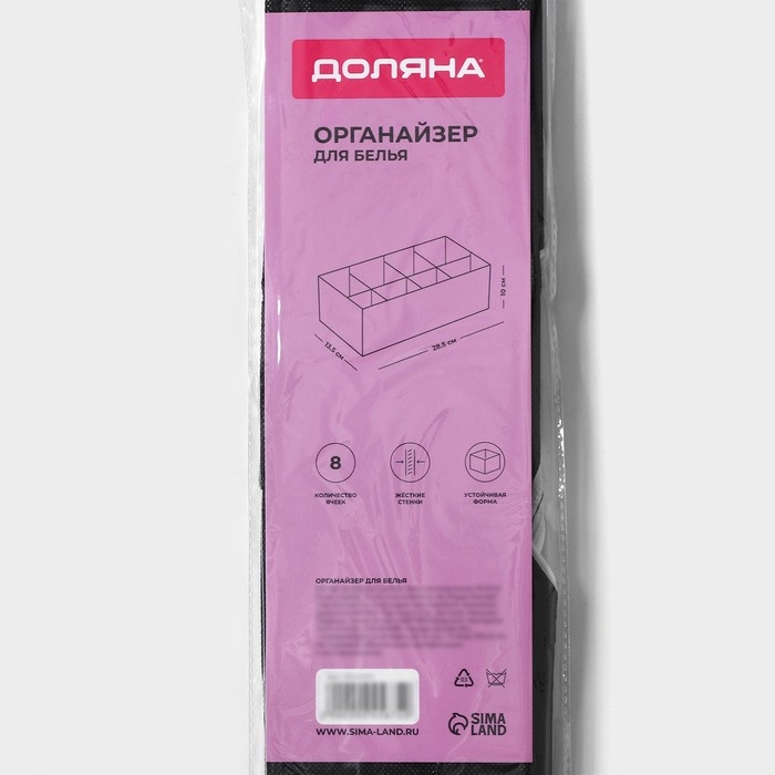 Органайзер для хранения белья Доляна «Смарт», 8 ячеек, 28,5×13,5×10 см, цвет чёрный Органайзер для хранения белья Доляна «Смарт», 8 ячеек, 28,5×13,5×10 см, цвет чёрный