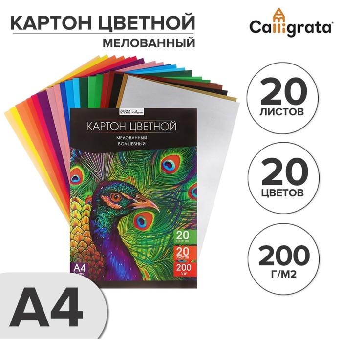 Картон цветной А4, 20 листов, 20 цветов, волшебный (золото+серебро) Calligrata TOP, мелованный 200 г/м2, в папке Картон цветной А4, 20 листов, 20 цветов, волшебный (золото+серебро) Calligrata TOP, мелованный 200 г/м2, в папке