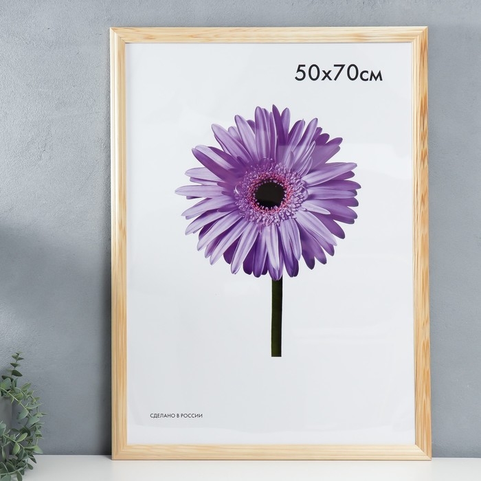 Фоторамка дерево Linda 50х70 см неокрашенная (пластиковый экран) Фоторамка дерево Linda 50х70 см неокрашенная (пластиковый экран)