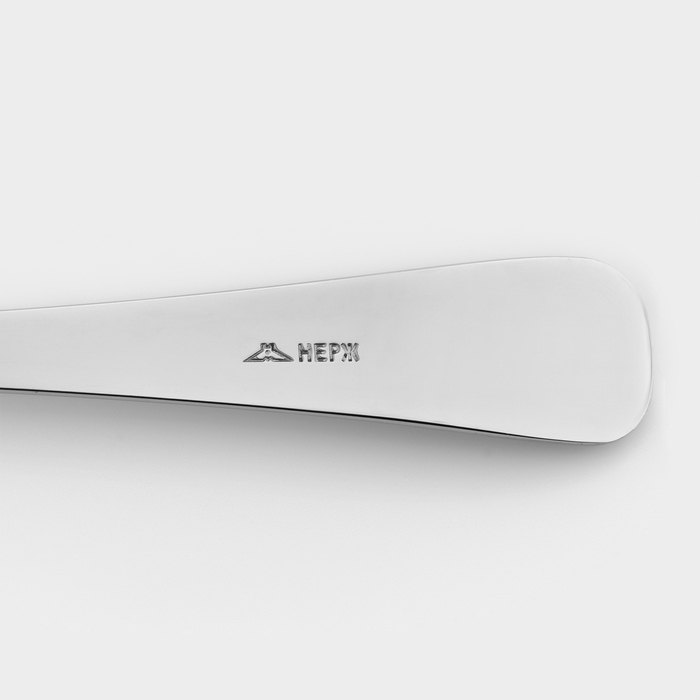 Ложка столовая «Росинка», длина 19,5 см, толщина 1,8 мм, цвет серебряный Ложка столовая «Росинка», длина 19,5 см, толщина 1,8 мм, цвет серебряный