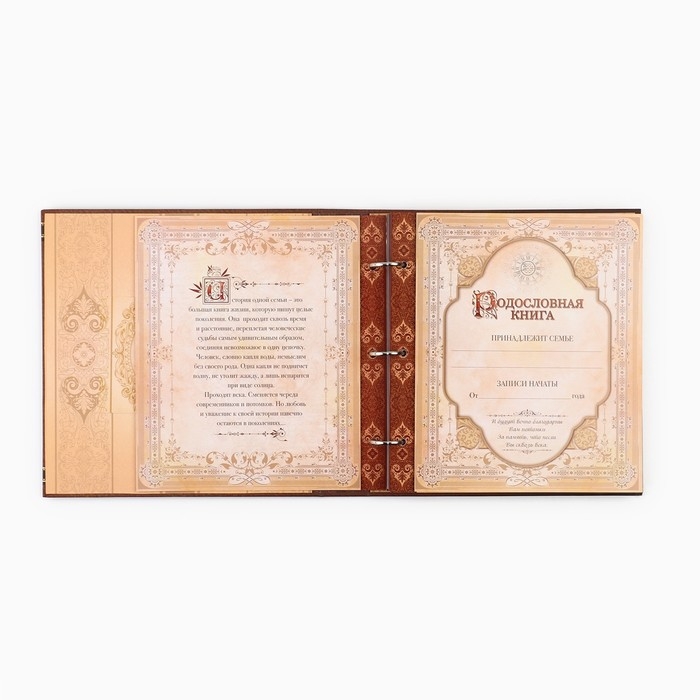 Родословная книга с рамкой под фото «Семейная», 21,5 х 23,7 см. Родословная книга с рамкой под фото «Семейная», 21,5 х 23,7 см.
