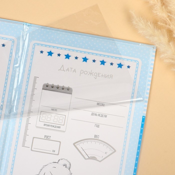 Свидетельство о рождении с файлом  Свидетельство о рождении с файлом "Для мальчика", новый формат свидетельства, Me To You, А5