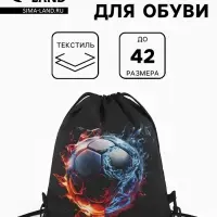 Мешок для обуви &laquo;Мяч&raquo;, на стяжке, 36&times;0.5&times;42 см