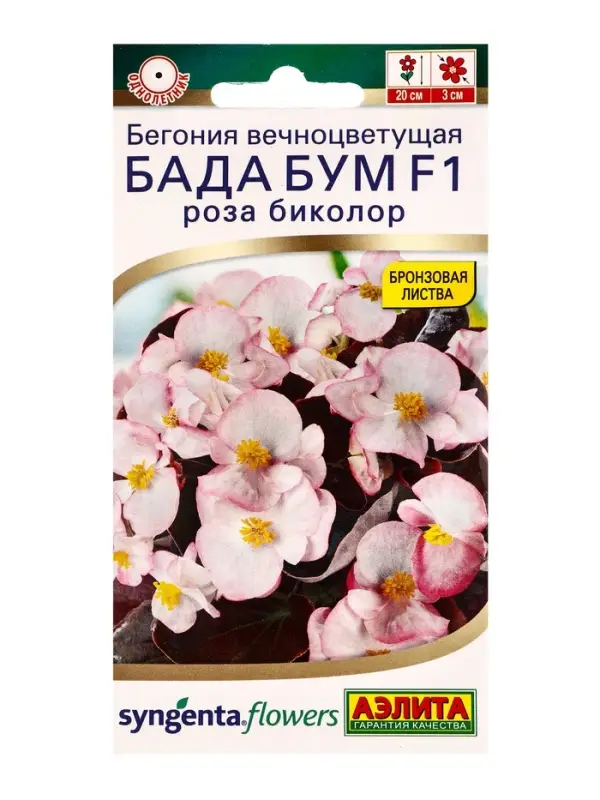 Семена цветов Бегония Бада бум F1 роза биколор (драже в пробирке) Спецсерия Syngenta, Ц/П,5 шт. 109 Семена цветов Бегония Бада бум F1 роза биколор (драже в пробирке) Спецсерия Syngenta, Ц/П,5 шт. 109