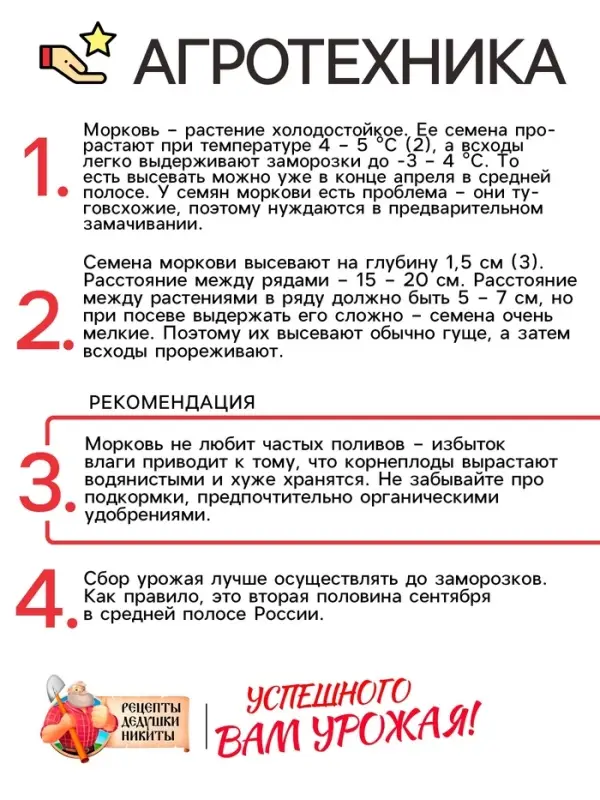 Семена Морковь  Семена Морковь "Лосиноостровская 13", 2 г