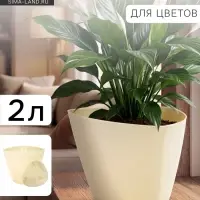 Горшок для цветов &laquo;Элеганс&raquo;, 2 л, d=17.3 см, h=15 см, пластиковый, с поддоном, цвет молочный