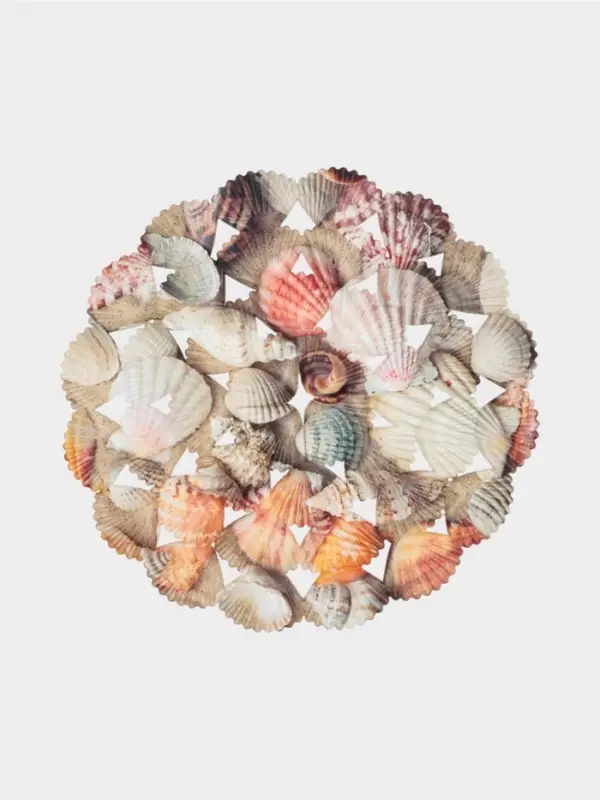 Решётка в раковину круглая Доляна &laquo;Ракушки&raquo;, 28&times;28 см