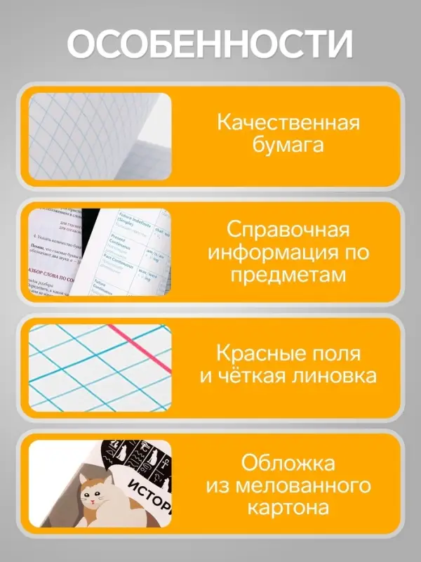 Предметная тетрадь по истории Calligrata &laquo;Животные мемы&raquo;, 36 листов, в клетку, со справочным материалом, обложка из мелованной бумаги