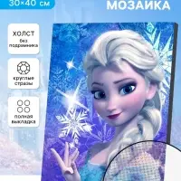 Алмазная вышивка с полным заполнением &laquo;Принцесса&raquo; , 30&times;40 см, на холсте