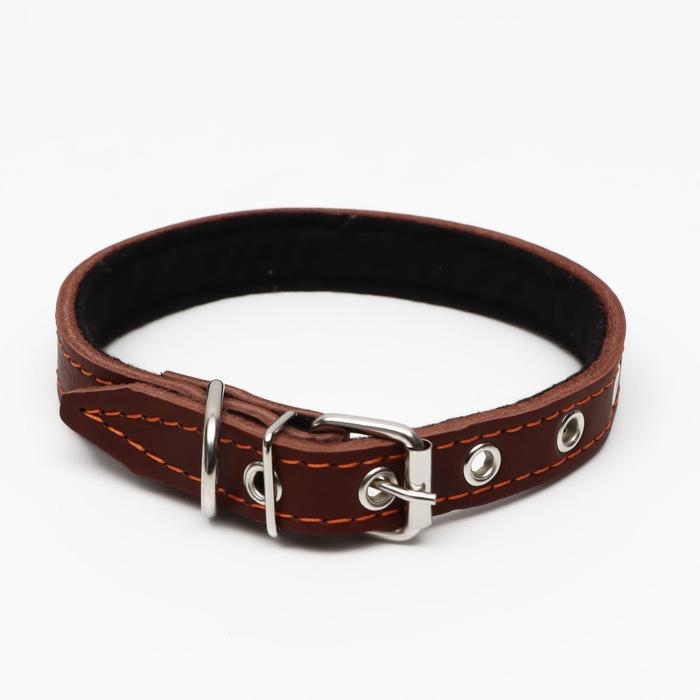Ошейник кожаный на синтепоне, 45 х 2 см, ОШ 25-35 см, коричневый Ошейник кожаный на синтепоне, 45 х 2 см, ОШ 25-35 см, коричневый