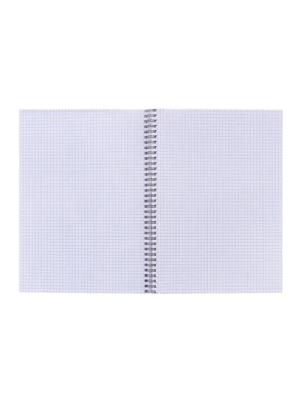 Компл тетр из 2шт A4 на гребне 96л кл Авокадо, мел карт+твин-лак, офсет (9944269)