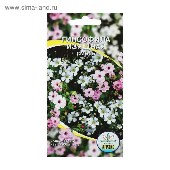Семена цветов Гипсофила  Семена цветов Гипсофила "Изящная", смесь окрасок, О, 0,1 г