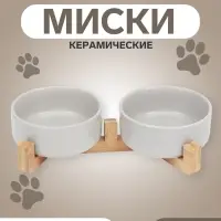 Миски для кошек &laquo;Пижон&raquo;, 450 мл, 28.5&times;15.5&times;7 с, 2 шт., на подставке, керамика, серые