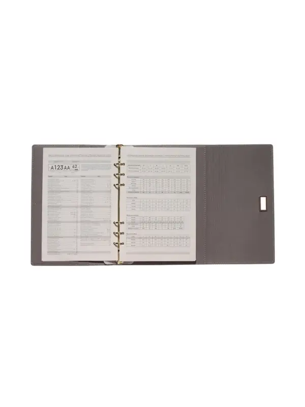 Органайзер на кольцах, А5, с клапаном, 80л, линия, к/зам, с ручкой, Серо-синий Органайзер на кольцах, А5, с клапаном, 80л, линия, к/зам, с ручкой, Серо-синий