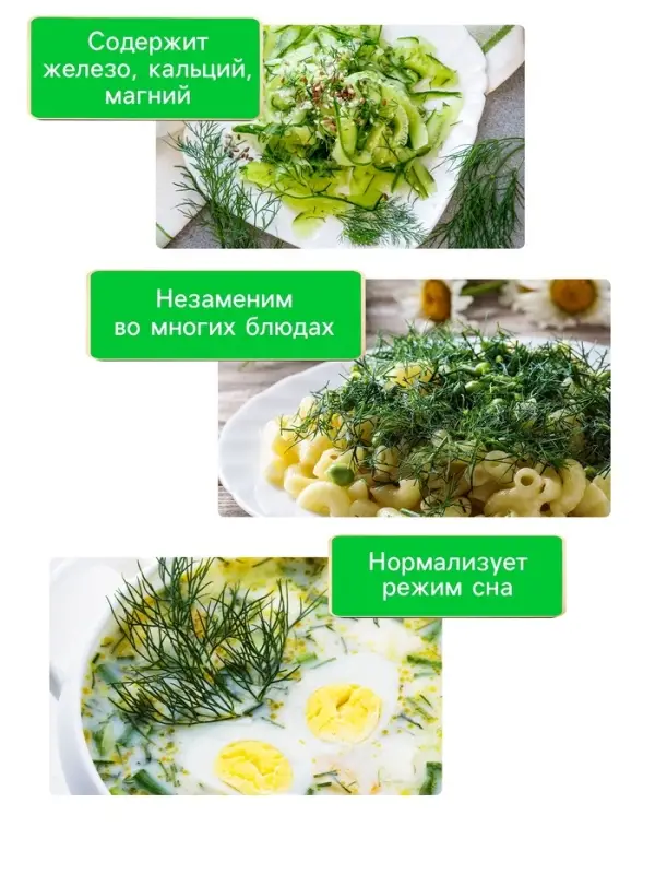 Семена Укроп &laquo;Кустистый&raquo;, 2 г, &laquo;Рецепты дедушки Никиты&raquo;