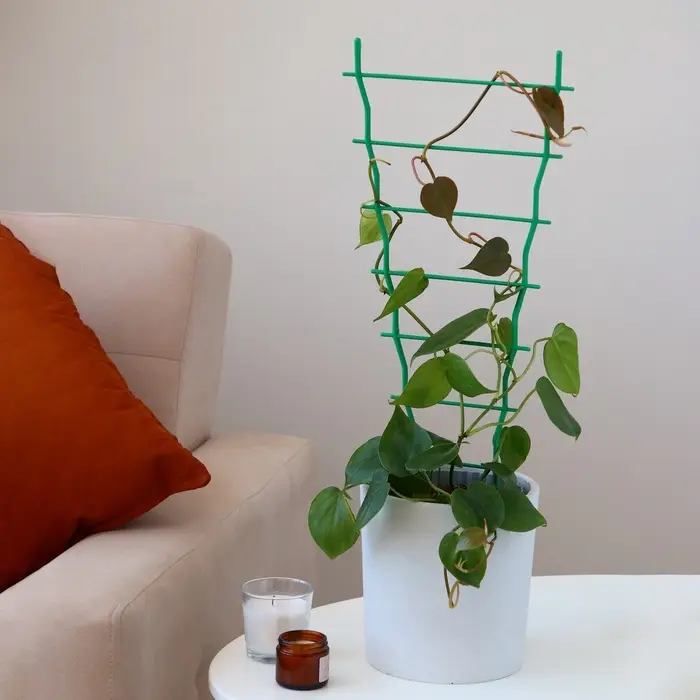 Шпалера, 54 × 19 × 0.5 см, пластик, МИКС Шпалера, 54 × 19 × 0.5 см, пластик, МИКС