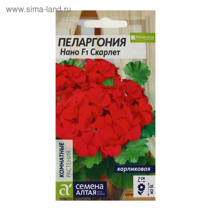 Семена цветов Пеларгония  Семена цветов Пеларгония "Нано", "Скарлет", 3 шт