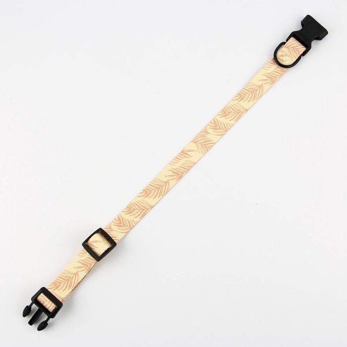 Ошейник Paradise life, застёжка - фастекс, 2.5 см, 40-55 см Ошейник Paradise life, застёжка - фастекс, 2.5 см, 40-55 см