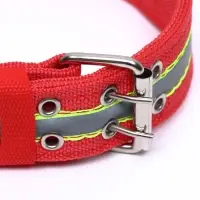 Ошейник четырехслойный светоотражающий с вертлюгом, 65&times;4 см, красный