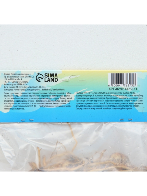 Лилия Азиатская «Навона», луковица в пакете с перфорацией, р-р 12/14, 3 шт. Лилия Азиатская «Навона», луковица в пакете с перфорацией, р-р 12/14, 3 шт.