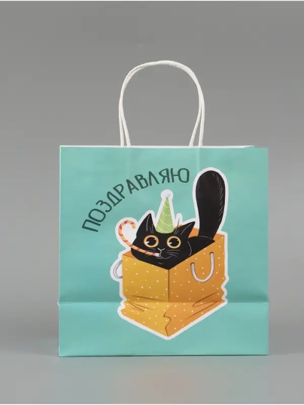 Пакет подарочный &laquo;Поздравляю&raquo;, 22 х 22 х 11 см